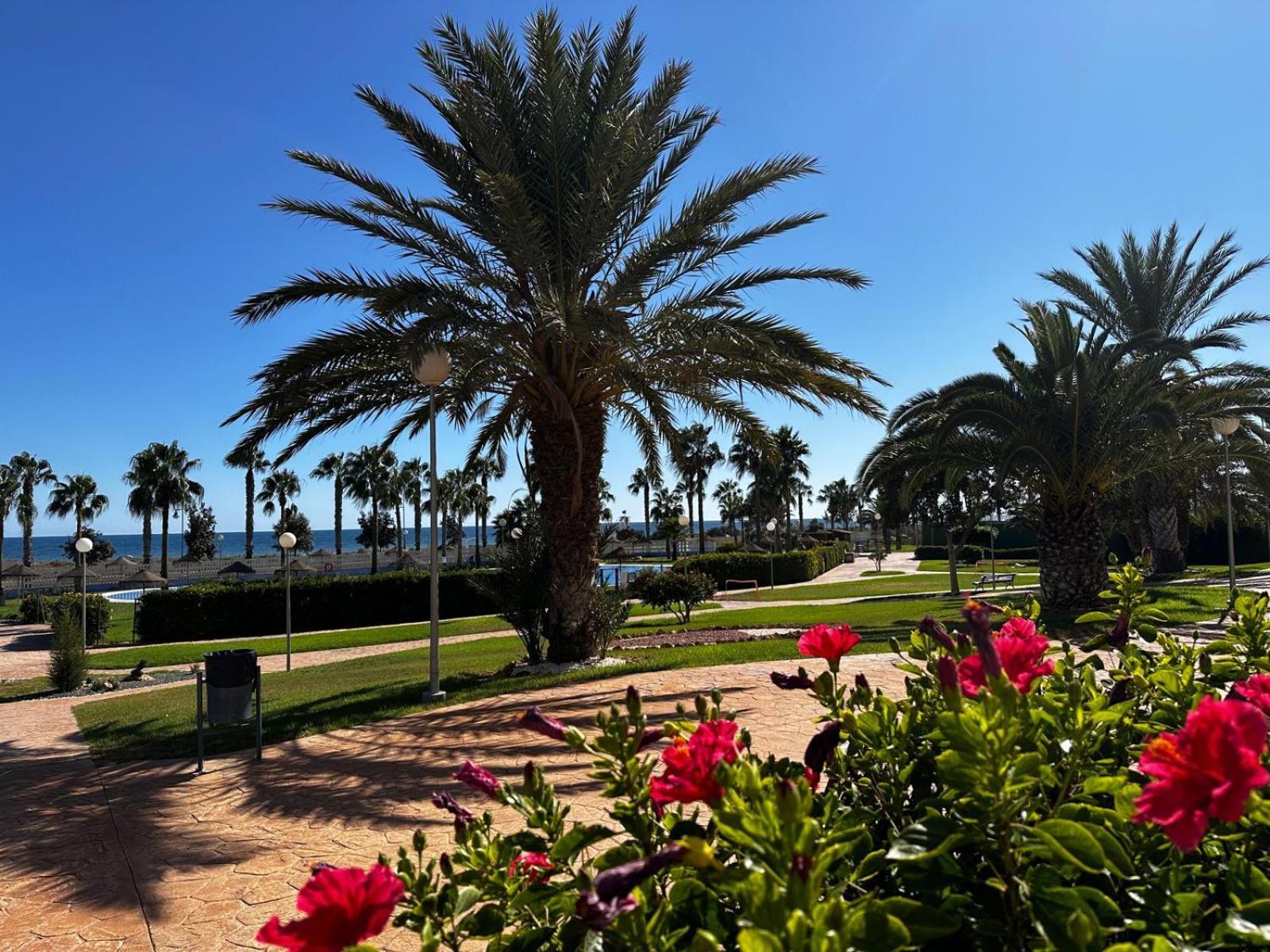 Luxurious Spacious Three Bedroom Apartment On Beachfront Almerimar Esterno foto